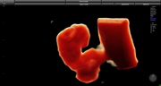 e10-8-sem-invertido.jpg