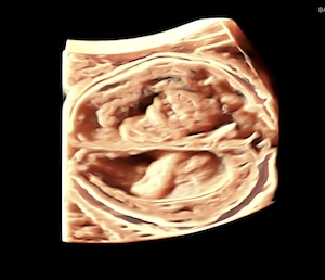 img-6814.jpeg