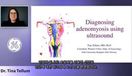 (한글자막) ISUOG 2020 - Adenomyosis using Ultrasound (Dr. Tellum)
