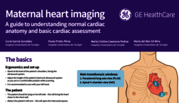 Maternal heart imaging - Parasternal Long-Axis View (PLAX)