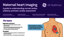 Maternal heart imaging - Parasternal Long-Axis (PLAX) view