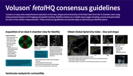 Voluson™ fetalHQ consensus guidelines