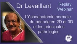 L'échoanatomie du périnée Webinar FR