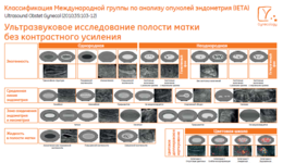 IETA Poster (RU)