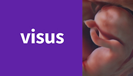 VISUS Course 2026