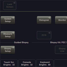 Voluson Expert Series: How to activate Doppler graphs in ...