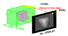 Voluson Expert Series: Render Modes