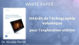 3D endo en gynéco WP Gyn FR