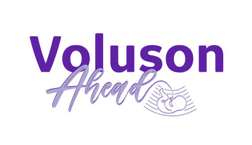 voluson-ahead-logo.jpg